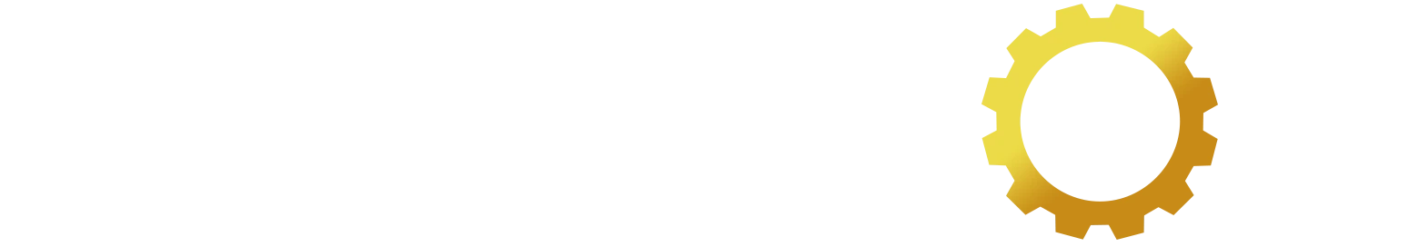 Project: ALM